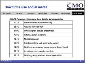CMO Social Media Use